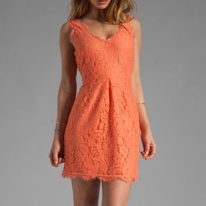 Joie "Rori" peach lace dress